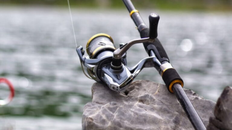 How To Use a Spinning Rod – Basic Guide