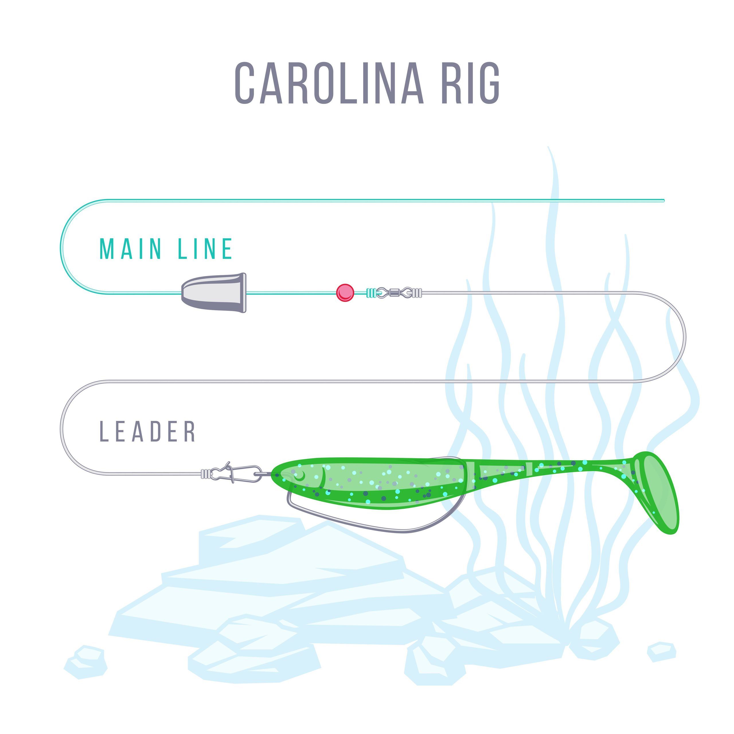 Carolina rig underwater with a fishing lure and a weighted sinker.