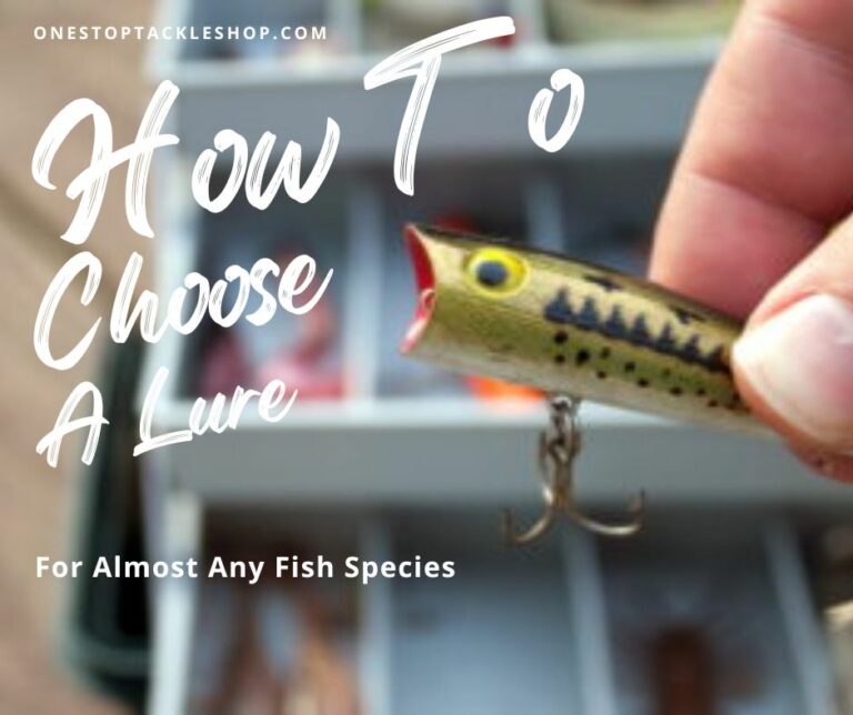 How to Choose a Lure Effectively for Almost Any Fish Species