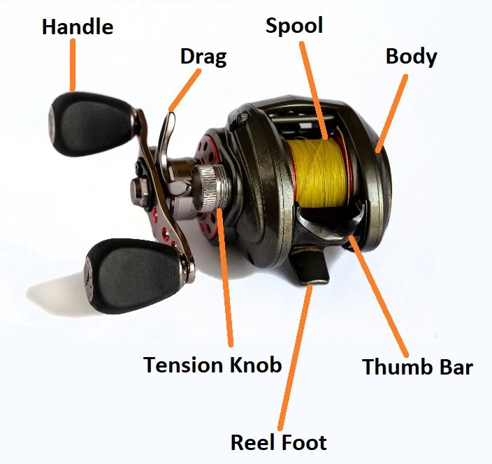 Baitcasting reel parts labeled and isolated on a white background.