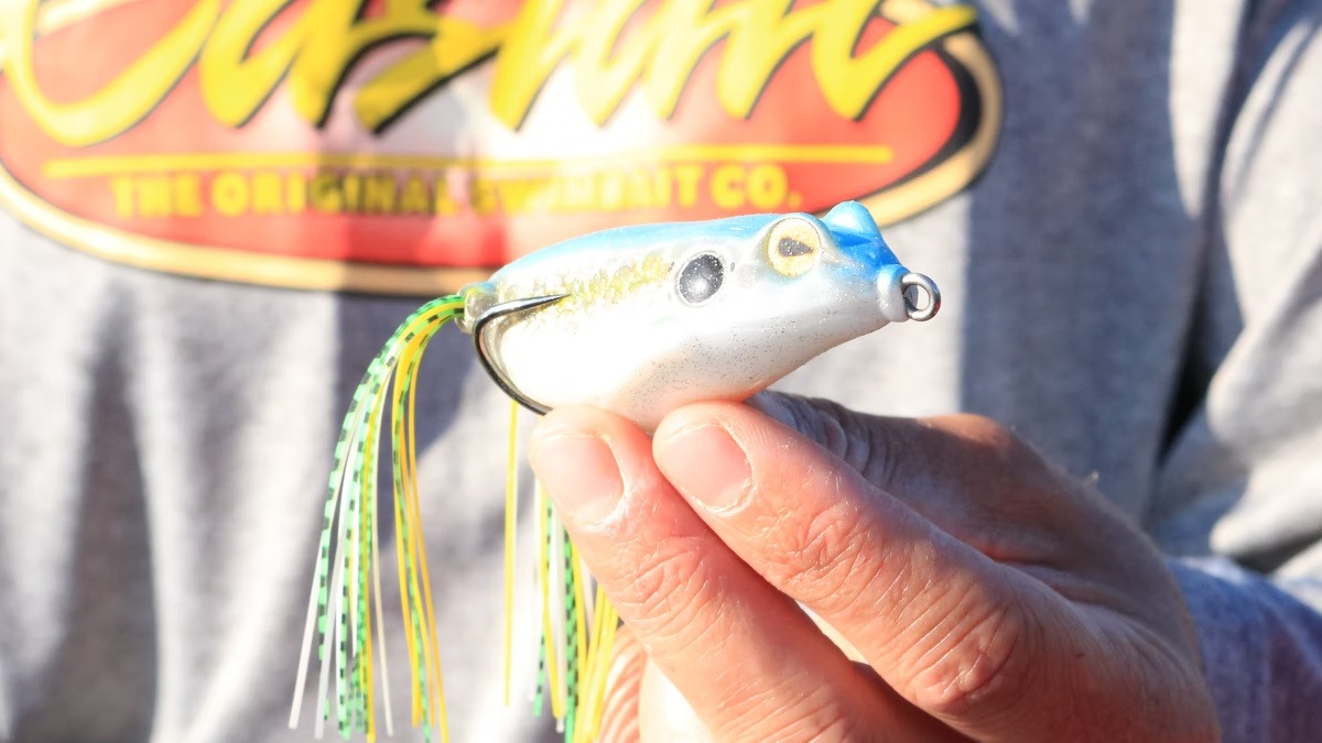 Man with hoodie holding up a hollow-body frog lure painted in sexy shad color.