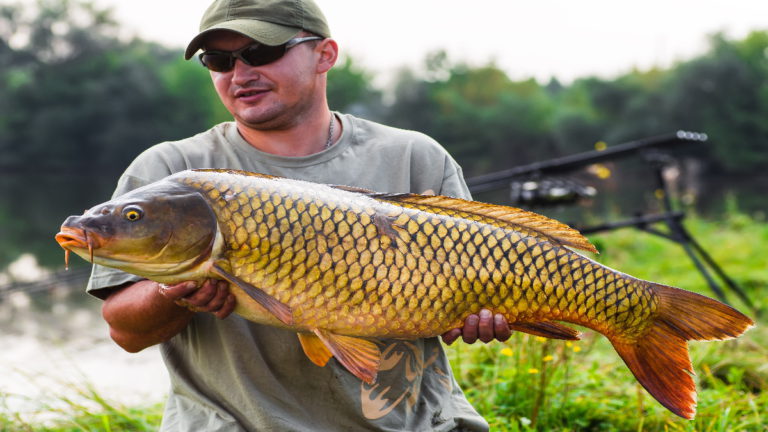 How To Catch A Carp – A Complete Guide