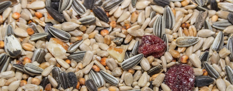 Bird seed with sunflower, flax, millet, and dried fruit.