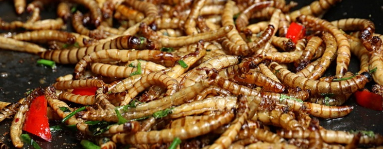 Mealworms inside a cooking pan with vegetables and greens.