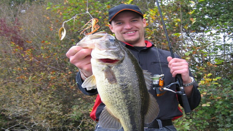 How To Fish With Spinnerbaits For Largemouth Bass And Other Fish