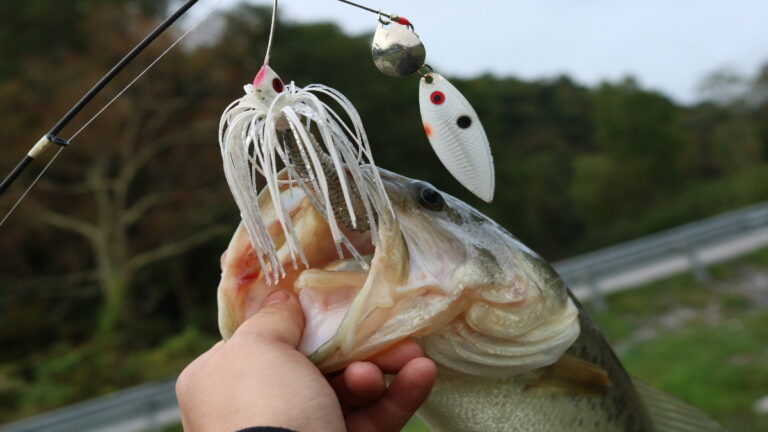 Best Spinnerbaits For Bass – What We Recommend And Why