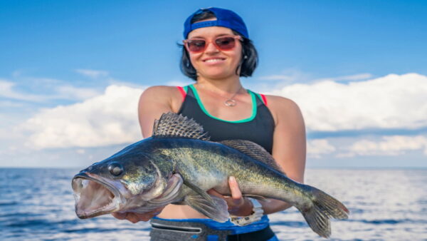 How To Catch Walleye In Lake Erie 2021 - ReelTackleFishing
