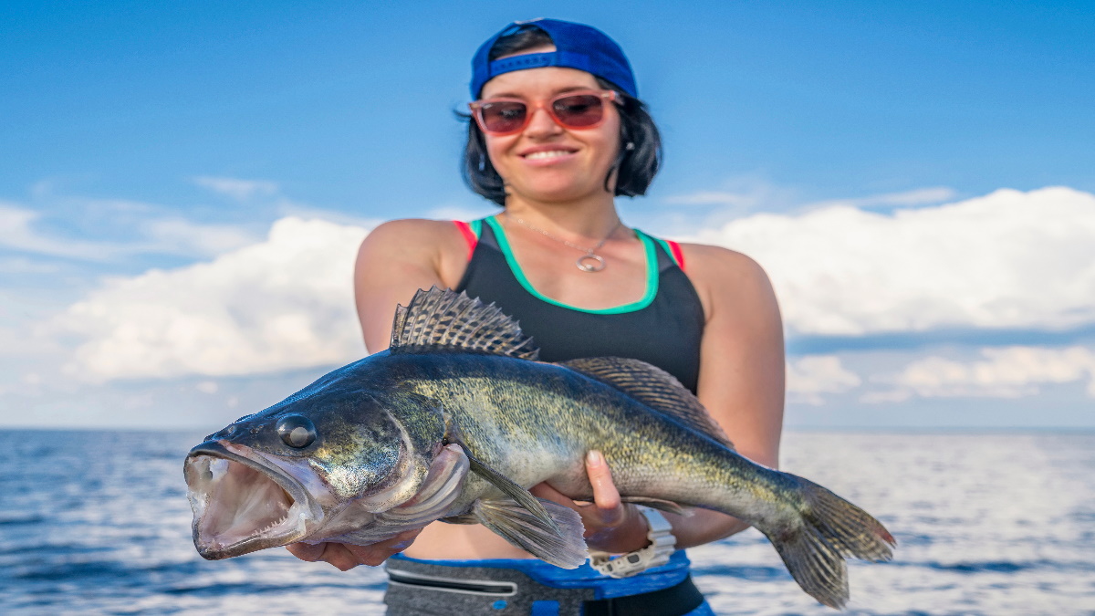 Female angler holding a big walleye on a boat in water.