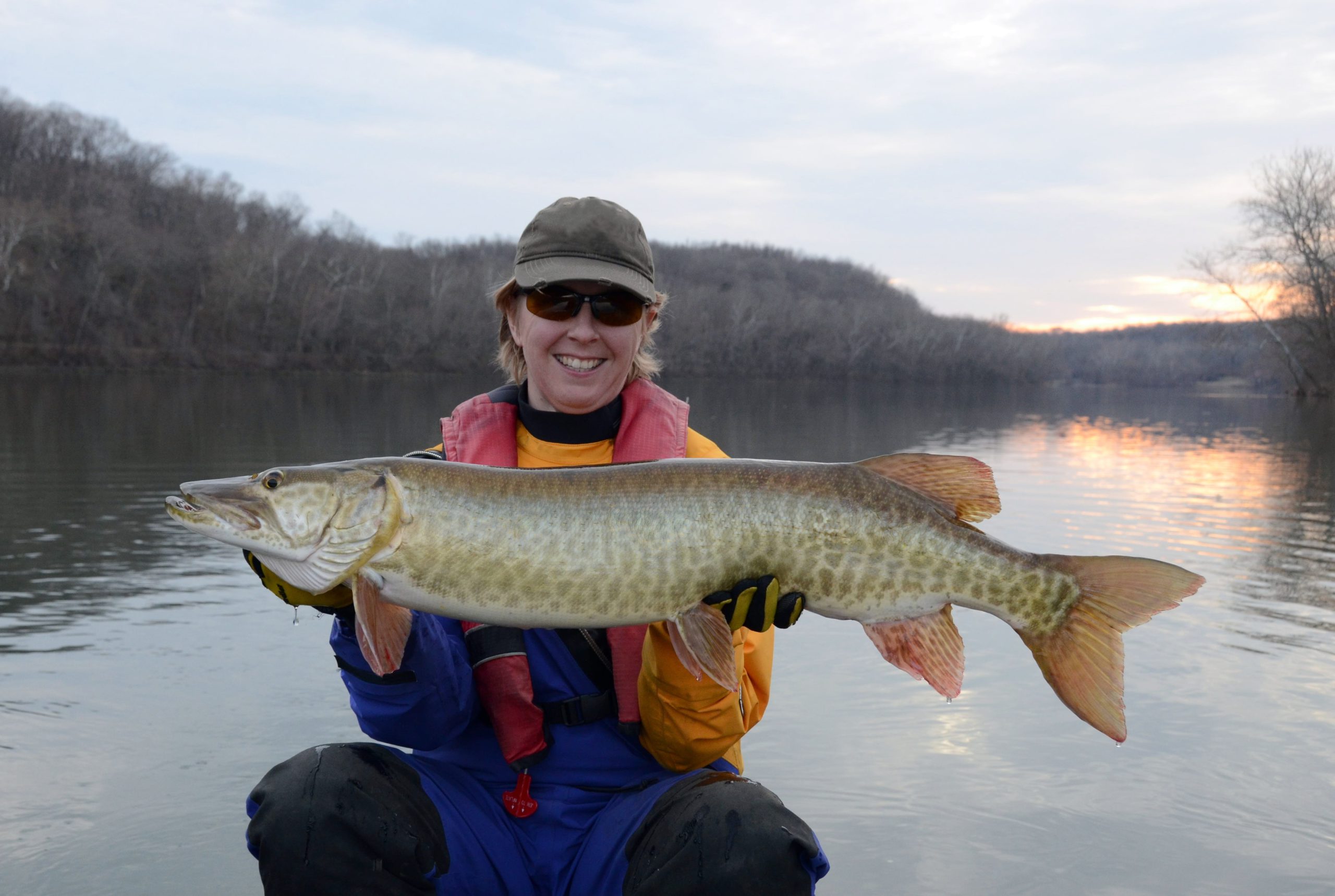 Angler holding a muskellunge fish on a kayak in water.