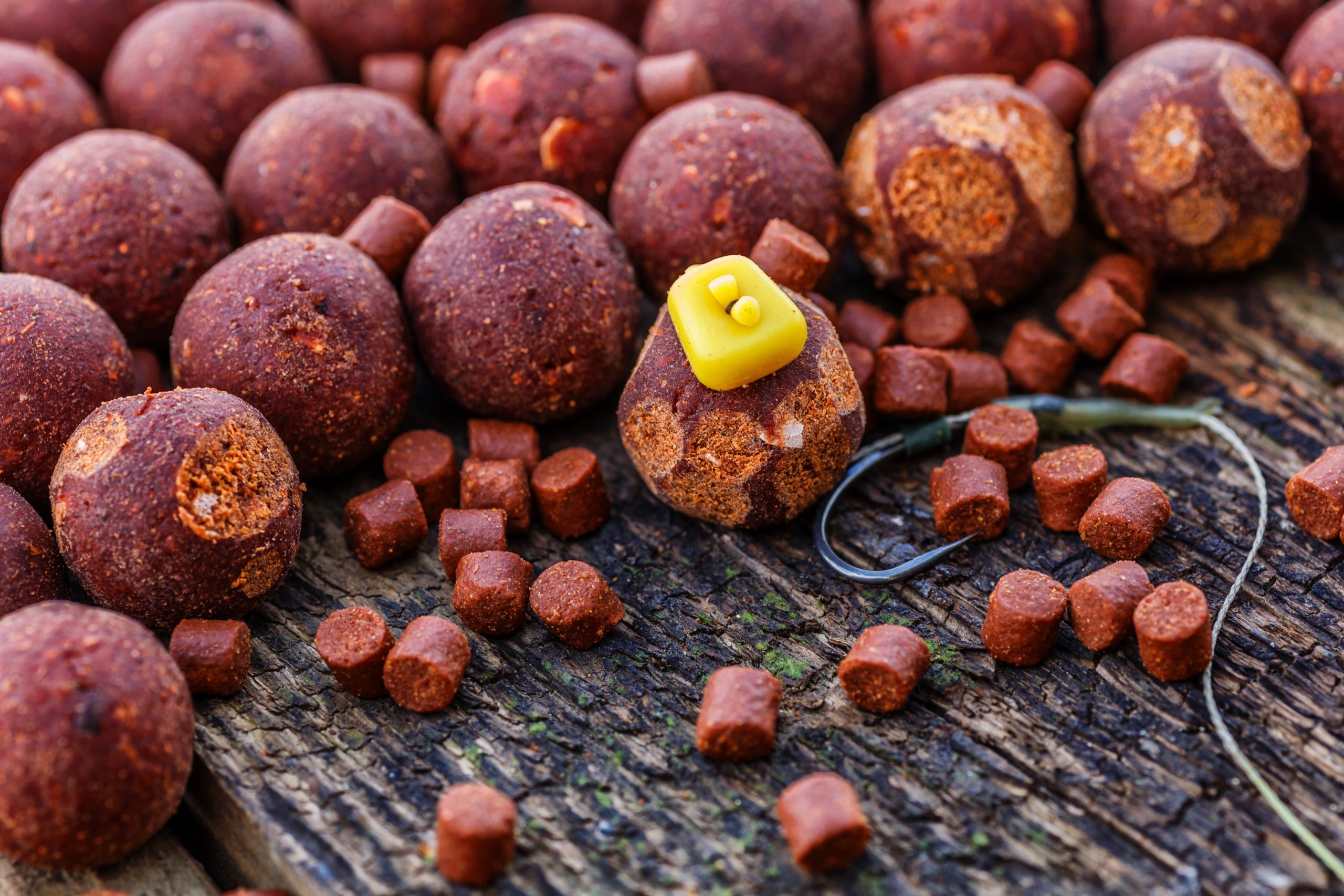 Beleefd Arctic val How To Use Boilies For Carp Fishing 2020 | Reel Tackle