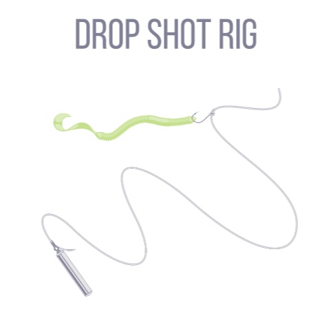 Drop shot rig with a plastic worm, drop shot hook, and drop shot weight.