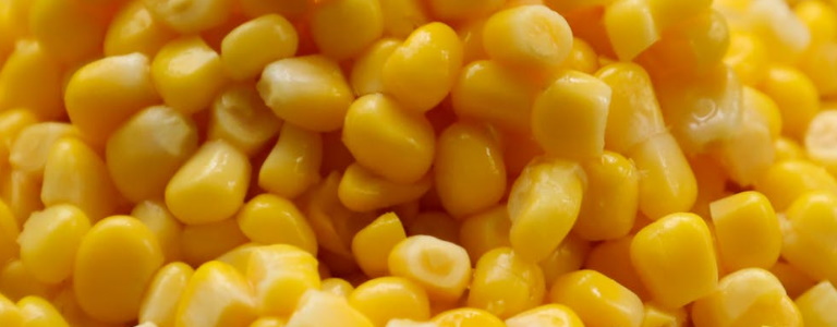Sweet corn or maize inside a bowl on a table in a dark room.