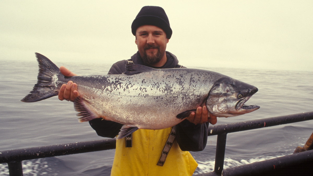 Man in a black hat holding a chinook salmon on a boat in water.