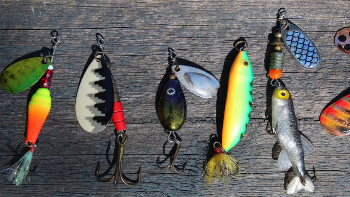Minnow fishuing lures lined up and sitting on a table.