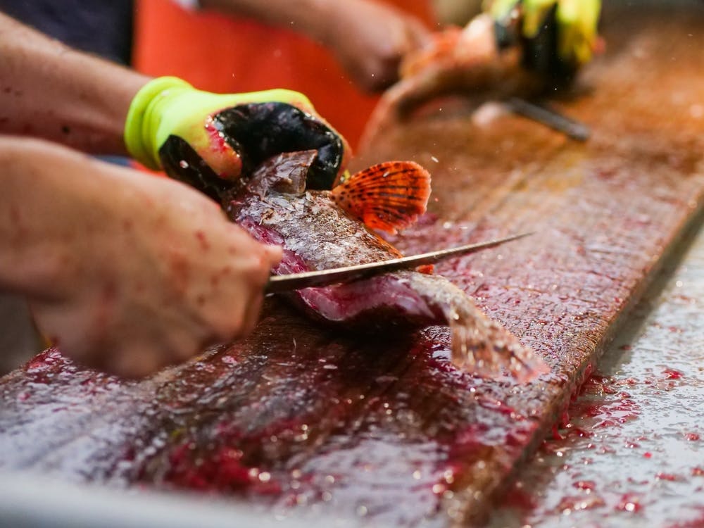 Person skinning a fish on a wooden table outside.