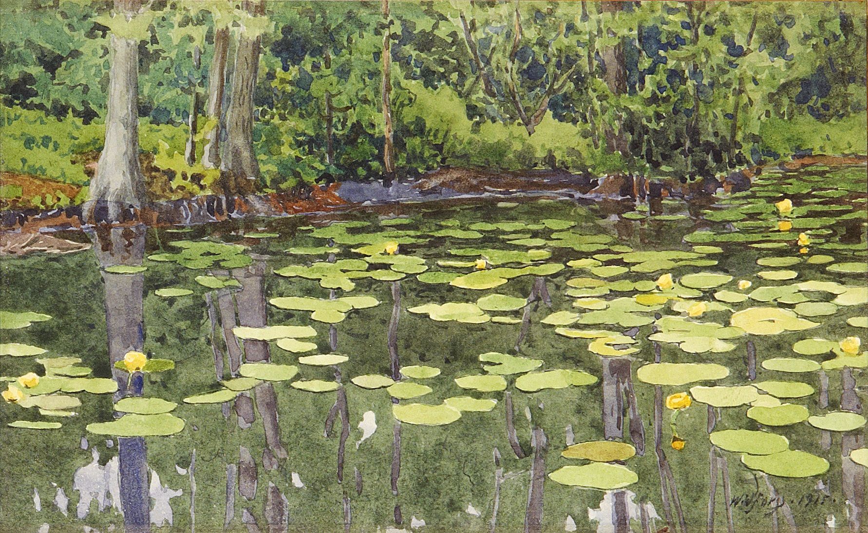 Pond full of lily pads with trees hanging over the surface.