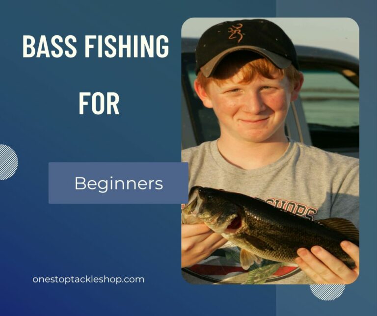 Bass Fishing For Beginners To Catch More Fish