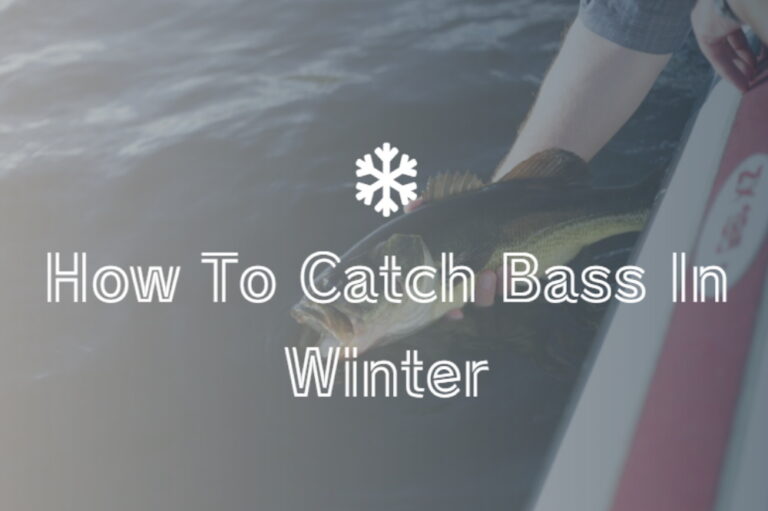 How To Catch Bass In Winter – Bass Fishing