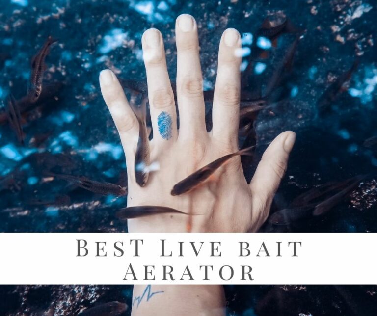 Best Live Bait Aerator On The Market – A Review